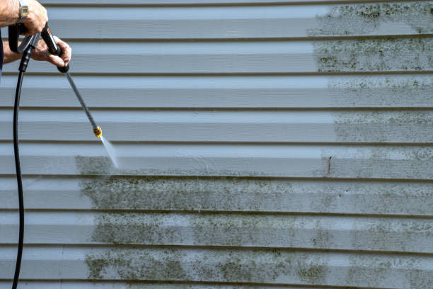 Best Storm Damage Siding Repair  in Altus, OK